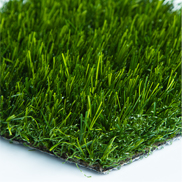 Marquee Natural Turf