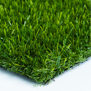 Marquee Turf